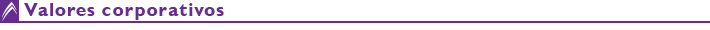 Valores corporativos Valores corporativos