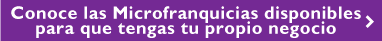 Conoce las Microfranquicias disponibles para que tengas tu propio negocio