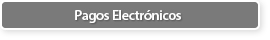 Pagos Electr�nicos